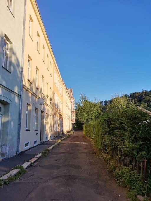 Ubytovani Ester - Utulny Byt V Lazenskem Centru Karlovych Varu Se Zahradkou Apartment Karlovy Vary Exterior photo