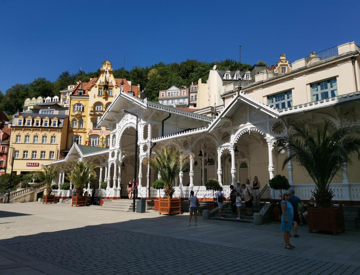 Ubytovani Ester - Utulny Byt V Lazenskem Centru Karlovych Varu Se Zahradkou Apartment Karlovy Vary Exterior photo